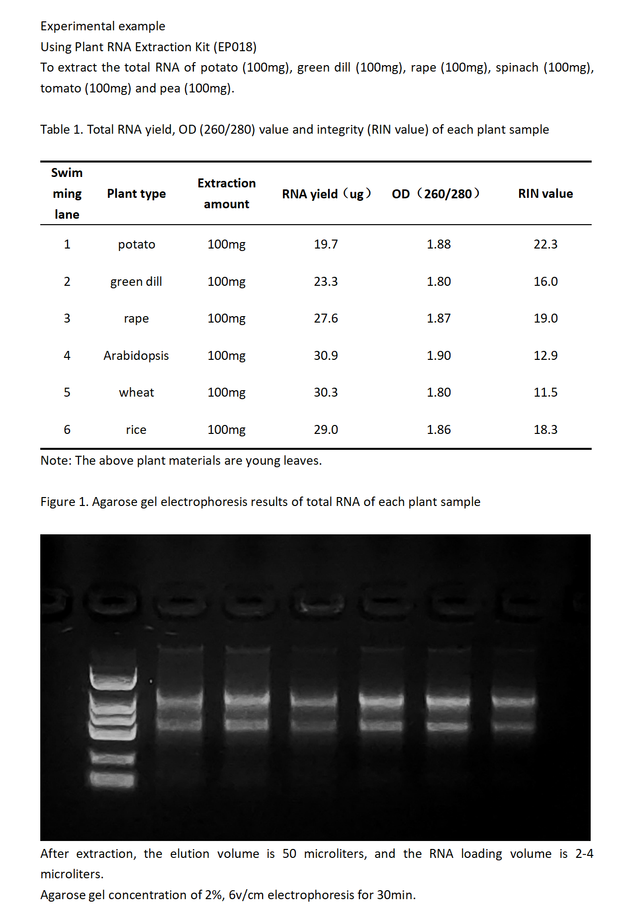 EP018植物RNA提取试剂盒123(1)_01.png