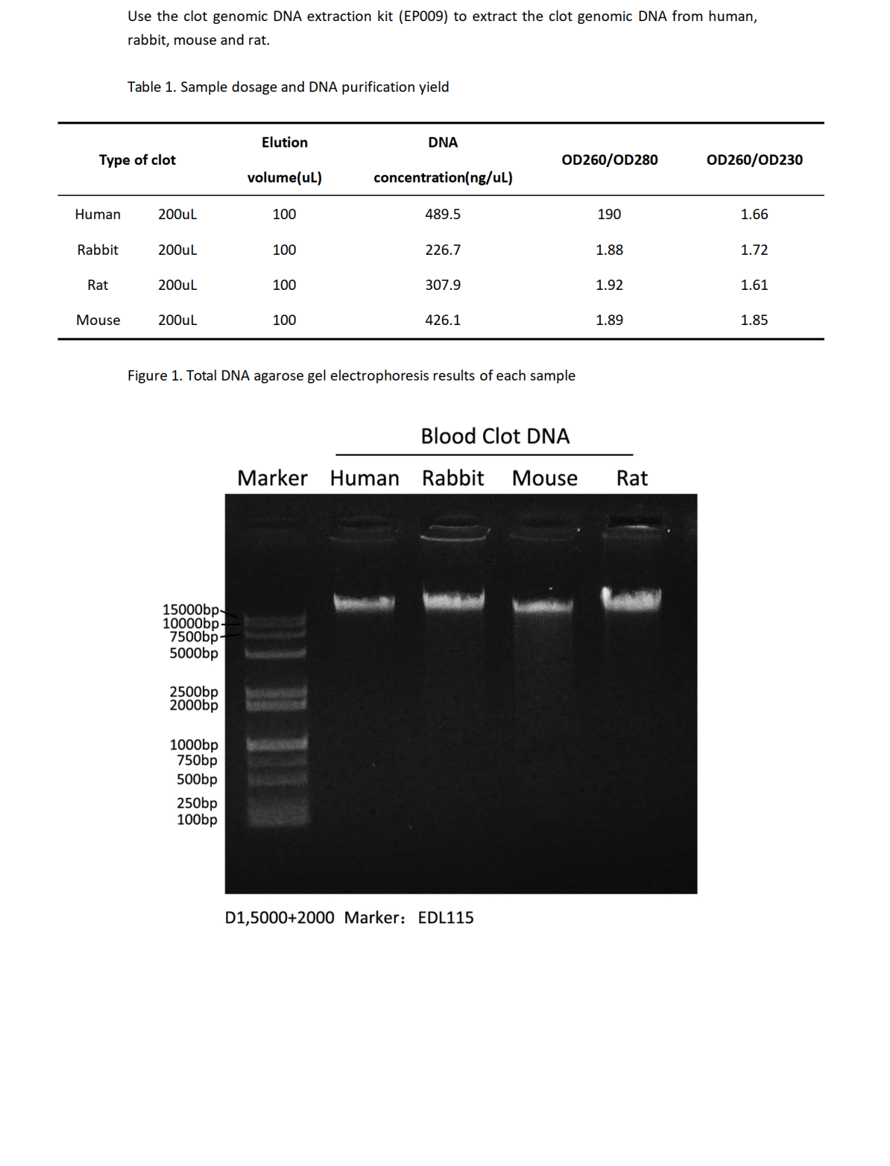EP009 凝血块基因组DNA提取试剂盒_01.png