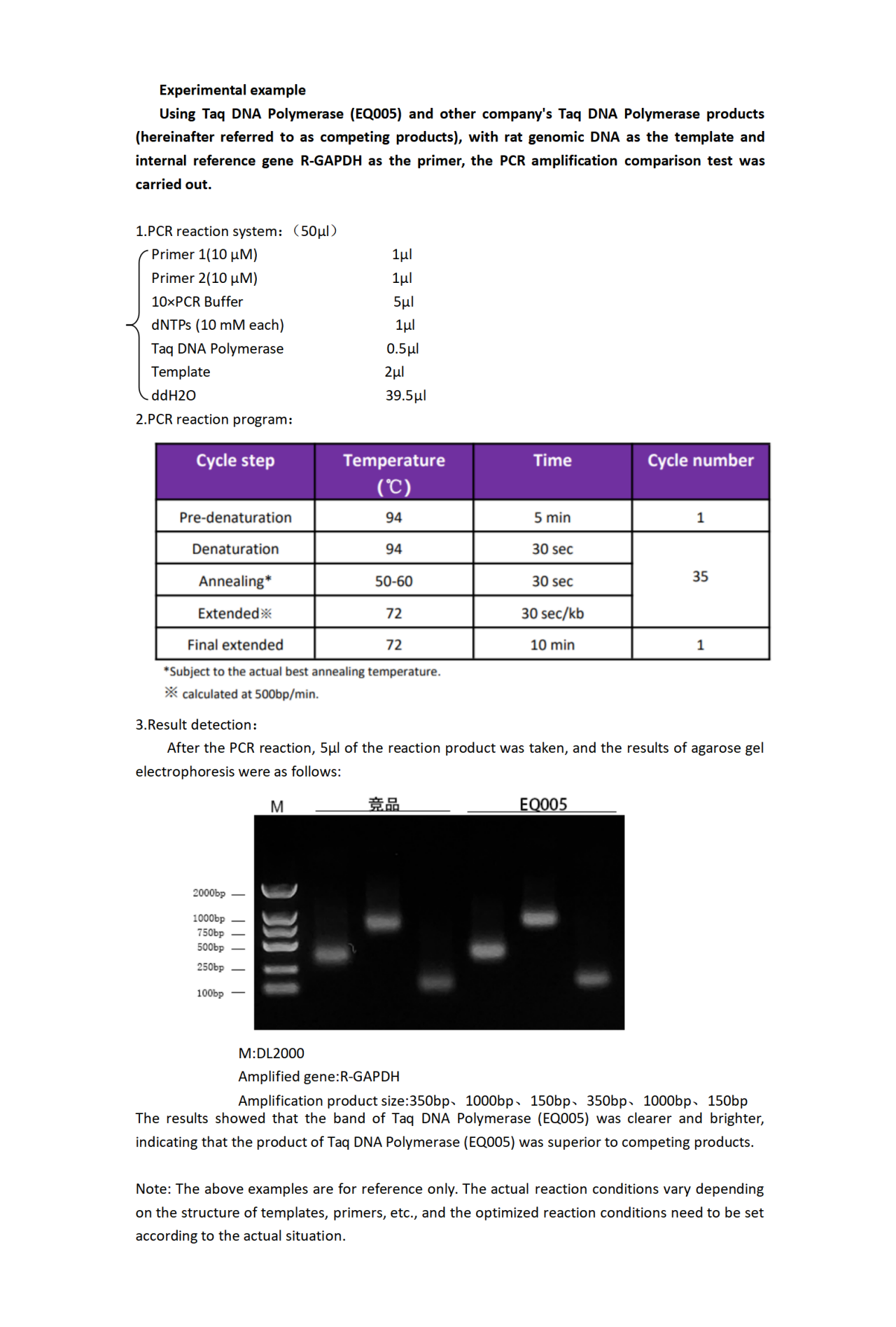 EQ005 Taq DNA Polymerase_01.png