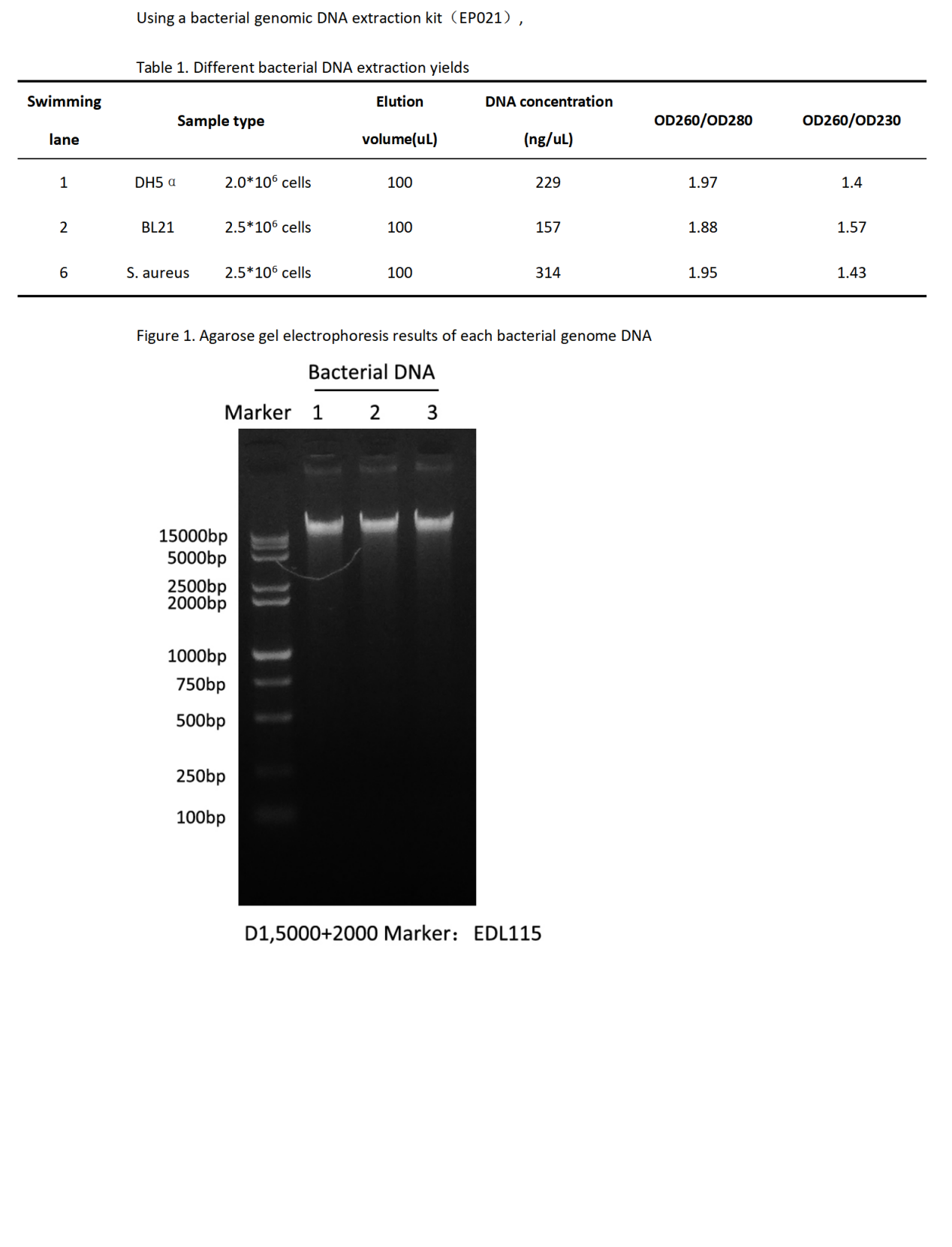 EP021 细菌DNA 提取试剂盒_01.png